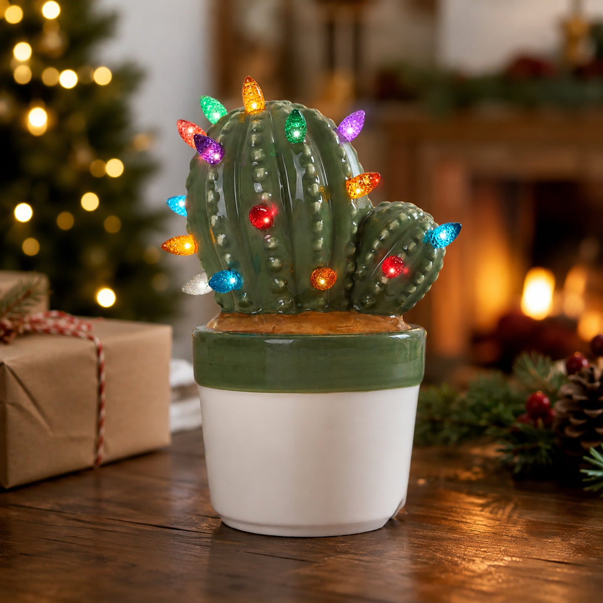 Lighted Ceramic Cactus Succulent