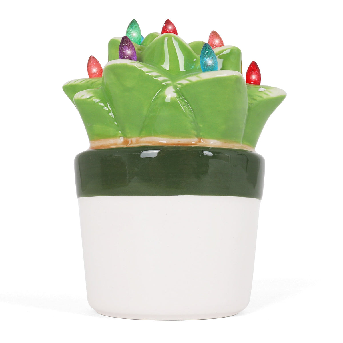Lighted Ceramic Aloe Succulent