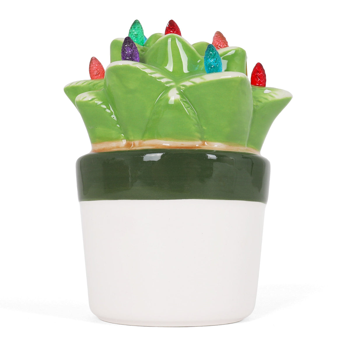 Lighted Ceramic Aloe Succulent