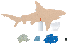 Reginald The Shark Mosaic Kit